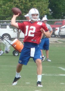 Fantasy Football: Draft Strategy Rounds 1-4 5 Colts QB Andrew Luck, Week 12 Fantasy Football Rankings