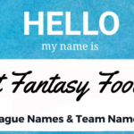 Best Fantasy Football League Names and Team Names